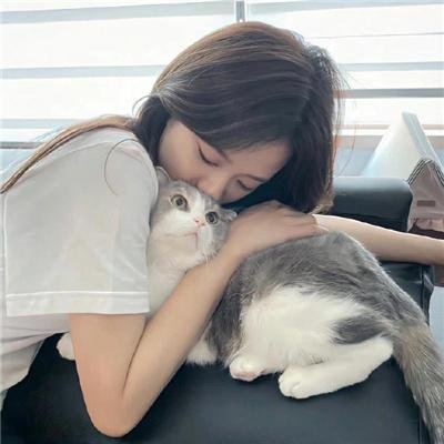 精灵高中之纽约